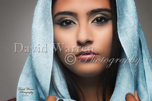 Isabel Blue Veil